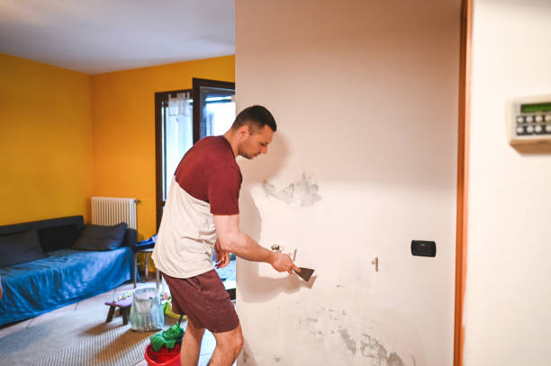 Best Mold Removal Near Me  in Alum Rock, CA